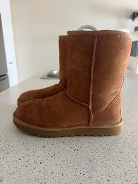 UGG Chestnut Short Suede Shearling Boots